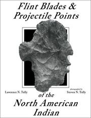 Flint blades and projectile points of the North American Indian  Cover Image