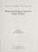Go to record Nineteenth-century American fiction writers